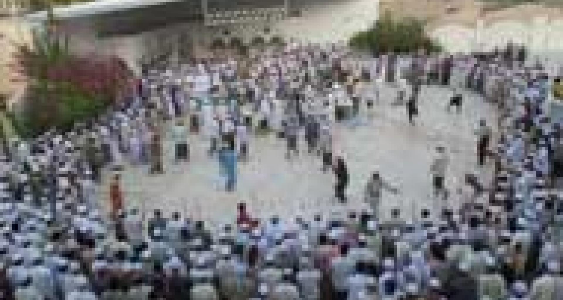 مشاركة أصحاب الرزيح