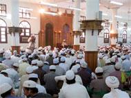 تفسير الفاتحة وقصار السور - 10 - تفسير سورة المسد